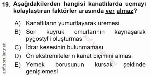 19. soru: Aşağıdakilerden hangisi kanatlılarda uçmayı kolaylaştıran faktörler arasında yer almaz? A) Kanatlıların yumurtlayarak…