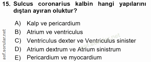 15. soru: Sulcus coronarius kalbin hangi yapılarını dıştan ayıran oluktur? A) Kalp ve pericardium B) Atrium ve ventriculus C) V…