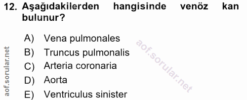 12. soru: Aşağıdakilerden hangisinde venöz kan bulunur? A) Vena pulmonales B) Truncus pulmonalis C) Arteria coronaria D) Aorta…