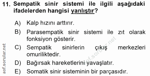11. soru: Sempatik sinir sistemi ile ilgili aşağıdaki ifadelerden hangisi yanlıştır? A) Kalp hızını arttırır. B) Parasempatik s…