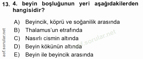13. soru: 4. beyin boşluğunun yeri aşağıdakilerden hangisidir? A) Beyincik, köprü ve soğanilik arasında B) Thalamus'un etrafind…