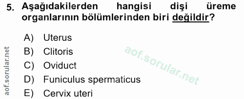 5. soru: Aşağıdakilerden hangisi dişi üreme organlarının bölümlerinden biri değildir? A) Uterus B) Clitoris C) Oviduct D) Funi…