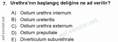 7. soru: Urethra'nın başlangıç deliğine ne ad verilir? A) Ostium urethra internum B) Ostium ureteritis ular.net Ostium urethra…