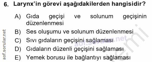 6. soru: Larynx'in görevi aşağıdakilerden hangisidir? A) Gıda geçişi ve solunum geçişinin düzenlenmesi B) Ses oluşumu ve solun…