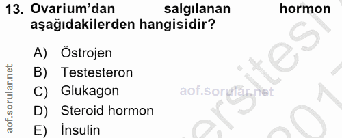 13. soru: Ovarium'dan salgilanan hormon aşağıdakilerden hangisidir? A) Östrojen Testesteron C) Glukagon D) Steroid hormon E) İn…