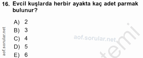 16. soru: Evcil kuşlarda herbir ayakta kaç adet parmak bulunur? A) 2 B) 3 4 D) 5 E) 6