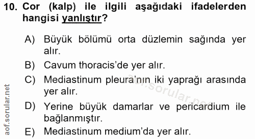 10. soru: Cor (kalp) ile ilgili aşağıdaki ifadelerden hangisi yanlıştır? A) Büyük bölümü orta düzlemin sağında yer alir. B) Cav…