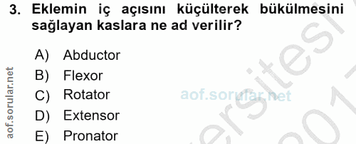 3. soru: Eklemin iç açısını küçülterek bükülmesini sağlayan kaslara ne ad verilir? A) Abductor B) Flexor C) Rotator D) Extenso…