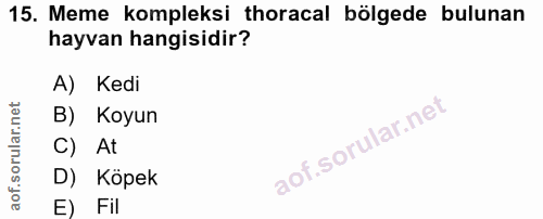 15. soru: Meme kompleksi thoracal bölgede bulunan hayvan hangisidir? A) Kedi B) Koyun C) At D) Köpek E) Fil