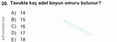 20. soru: Tavukta kaç adet boyun omuru bulunur? A) 14 B) 15 C) 16 D) 17 E) 18