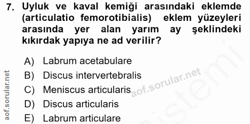 7. soru: Uyluk ve kaval kemiği arasındaki eklemde (articulatio femorotibialis) eklem yüzeyleri arasında yer alan yarım ay şekl…