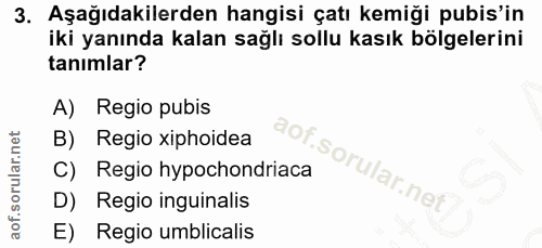 3. soru: Aşağıdakilerden hangisi çatı kemiği pubis'in iki yanında kalan sağlı sollu kasık bölgelerini tanımlar? A) Regio pubis…