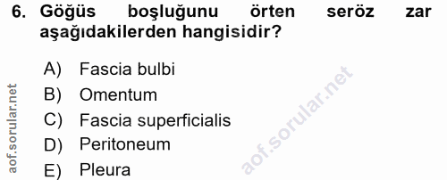 6. soru: Göğüs boşluğunu örten seröz zar aşağıdakilerden hangisidir? A) Fascia bulbi B) Omentum C) Fascia superficialis SOrU D…