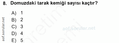 8. soru: Domuzdaki tarak kemiği sayısı kaçtır? A) 1 B) C) aofl D) 4 E) 5