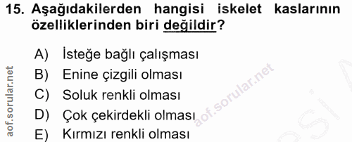 15. soru: Aşağıdakilerden hangisi iskelet kaslarının özelliklerinden biri değildir? A) İsteğe bağlı çalışması B) Enine çizgili…