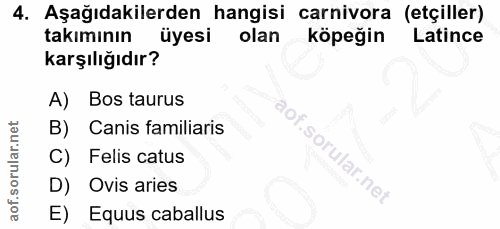 4. soru: Aşağıdakilerden hangisi carnivora (etçiller) takımının üyesi olan köpeğin Latince karşılığıdır? A) Bos taurus B) Cani…