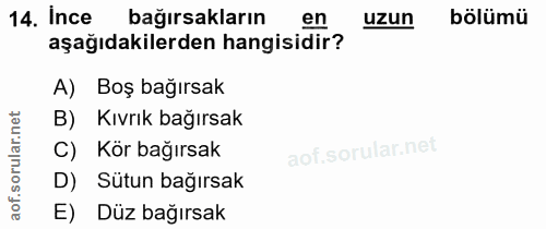 14. soru: Ince bağirsakların en uzun bölümü aşağıdakilerden hangisidir? A) Boş bağırsak B) Kıvrık bağırsak C) Kör bağırsak D) S…