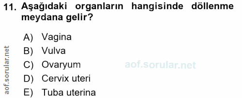 11. soru: Aşağıdaki organların hangisinde döllenme meydana gelir? A) Vagina B) Vulva C) Ovaryum D) Cervix uteri E) Tuba uterina