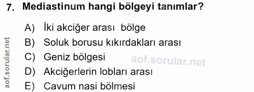 7. soru: Mediastinum hangi bölgeyi tanımlar? A) Iki akciğer arası bölge B) Soluk borusu kıkırdakları arası C) Geniz bölgesi D)…