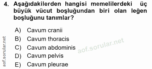 4. soru: Aşağıdakilerden hangisi memelilerdeki üç büyük vücut boşluğundan biri olan leğen boşluğunu tanımlar? A) Cavum cranii…