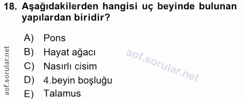 18. soru: Aşağıdakilerden hangisi uç beyinde bulunan yapılardan biridir? A) Pons B) Hayat ağacı C) Nasırlı cisim D) 4.beyin boş…