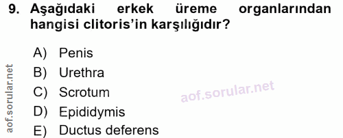 9. soru: Aşağıdaki erkek üreme organlarından hangisi clitoris'in karşılığıdır? A) Penis B) Urethra C) Scrotum D) Epididymis E)…