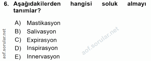 6. soru: Aşağıdakilerden hangisi soluk almayı tanımlar? A) Mastikasyon B) Salivasyon C) Expirasyon D) Inspirasyon E) Innervasyon