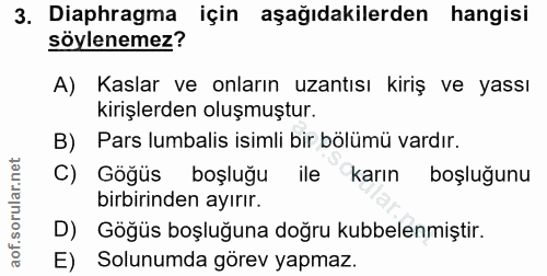 3. soru: Diaphragma için aşağıdakilerden hangisi soylenemez? A) Kaslar ve onların uzantısı kiriş ve yassı kirişlerden oluşmuşt…