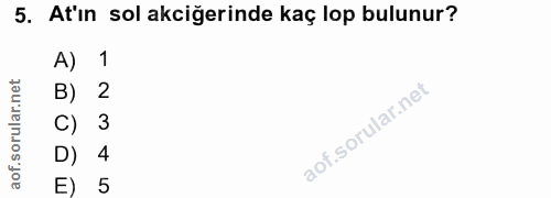 5. soru: At'ın sol akciğerinde kaç lop bulunur? A) 1 B) 2 C) 3 D) 4 E) 5