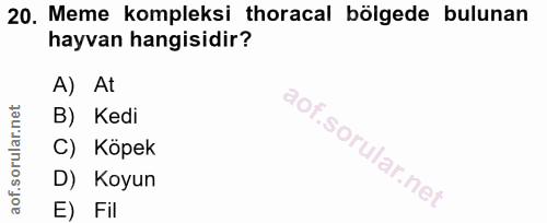 20. soru: Meme kompleksi horacal bölgede bulunan hayvan hangisidir? A) At B) Kedi C) Köpek D) Koyun E) Fil