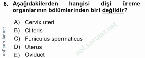 8. soru: Aşağıdakilerden hangisi dişi üreme organlarının bölümlerinden biri değildir? A) Cervix uteri B) Clitoris C) Funiculus…