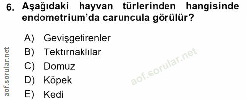 6. soru: Aşağıdaki hayvan türlerinden hangisinde endometrium'da caruncula görülür? A) Gevişgetirenler B) Tektırnaklılar C) Dom…