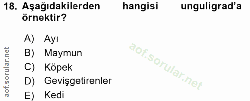 18. soru: Aşağıdakilerden 18. Asagidakilerden hangisi örnektir? A) Ayı B) Maymun C) Köpek D) Gevişgetirenler E) Kedi