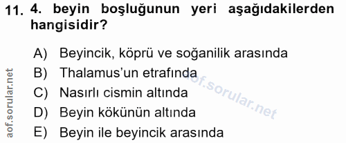 11. soru: 4. beyin boşluğunun yeri aşağıdakilerden hangisidir? A) Beyincik, köprü ve soğanilik arasında B) Thalamus'un etrafind…