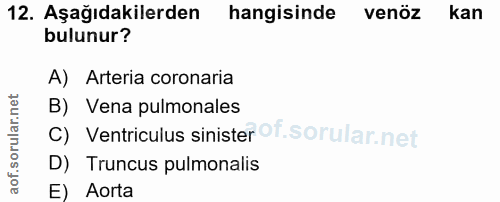 12. soru: Aşağıdakilerden| hangisinde venöz kan bulunur? A) Arteria coronaria B) Vena pulmonales C) Ventriculus sinister Of. D)…