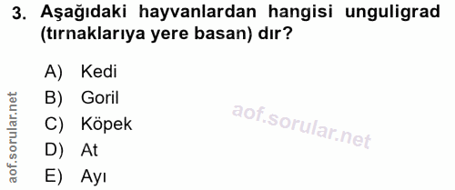 3. soru: Aşağıdaki hayvanlardan hangisi unguligrad (tırnaklarıya yere basan) dır? A) Kedi B) Goril C) Köpek D) At E) Ayı