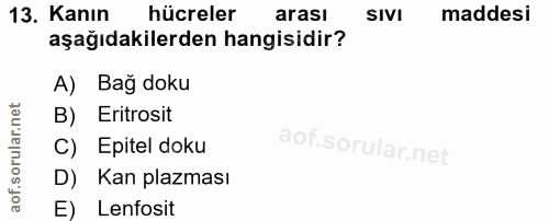 13. soru: Kanın hücreler arası SIVI maddesi aşağıdakilerden hangisidir? A) Bağ doku B) Eritrosit C) Epitel doku D) Kan plazması…