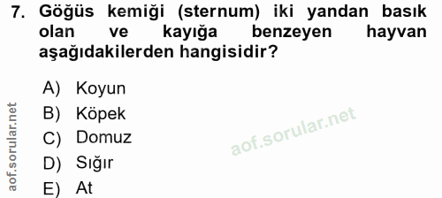 7. soru: Göğüs kemiği (sternum) iki yandan basık olan ve kayığa benzeyen hayvan aşağıdakilerden hangisidir? A) Koyun B) Köpek…