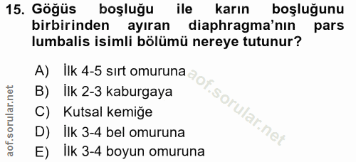 15. soru: Göğüs boşluğu ile karın boşluğunu birbirinden ayıran diaphragma'nın pars lumbalis isimli bölümü nereye tutunur? B) Il…