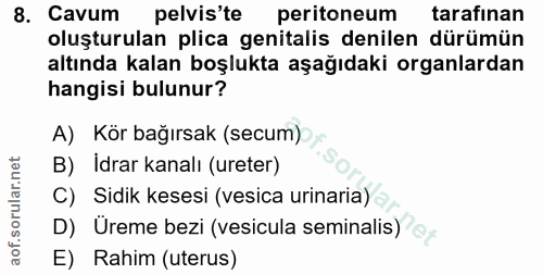 8. soru: Cavum pelvis'te peritoneum tarafınan oluşturulan plica genitalis denilen dürümün altında kalan boşlukta aşağıdaki org…