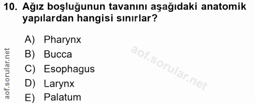 10. soru: Ağız boşluğunun tavanını aşağıdaki anatomik yapılardan hangisi sınırlar? A) Pharynx B) Висса C) Esophagus D) Larynx E…