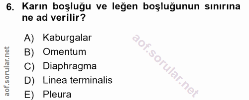 6. soru: Karın boşluğu ve leğen boşluğunun sınırına ne ad verilir? A) Kaburgalar B) Omentum C) Diaphragma D) Linea terminalis…
