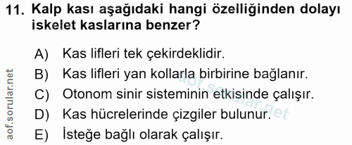 11. soru: Kalp kası aşağıdaki hangi özelliğinden dolayı iskelet kaslarına benzer? A) Kas lifleri tek çekirdeklidir. B) Kas lifl…