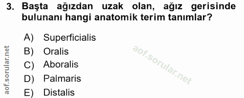 3. soru: Başta ağızdan uzak olan, ağız gerisinde bulunanı hangi anatomik terim tanımlar? A) Superficialis B) Oralis Aboralis D…