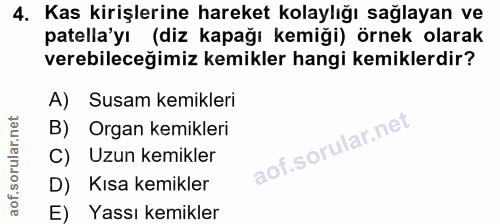4. soru: Kas kirişlerine hareket kolaylığı sağlayan ve patella'yı (diz kapağı kemiği) örnek olarak verebileceğimiz kemikler ha…