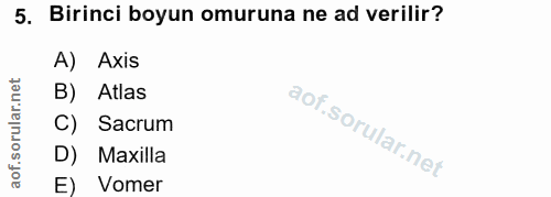 5. soru: Birinci boyun omuruna ne ad verilir? A) Axis B) Atlas C) Sacrum D) Maxilla E) Vomer