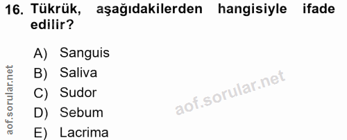 16. soru: Tükrük, aşağıdakilerden hangisiyle ifade edilir? A) Sanguis B) Saliva C) Sudor D) Sebum E) Lacrima