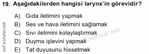 19. soru: Aşağıdakilerden hangisi larynx'in görevidir? A) Gıda iletimini yapmak B) Ses ve hava iletimini sağlamak C) Sıvı ileti…