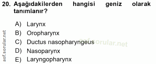 20. soru: Aşağıdakilerden hangisi geniz olarak tanimlanır? A) Larynx orular.net B) Oropharynx C) Ductus nasopharyngeus orular.n…