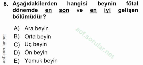 8. soru: Aşağıdakilerden hangisi beynin fötal dönemde en son ve en iyi gelişen bölümüdür? A) Ara beyin B) Orta beyin C) Uç bey…